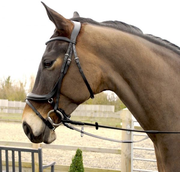 Rhinegold Pro-Anatomical Bridle